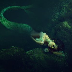 La real Sirena tra Arte e Sapori