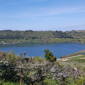 Alla ricerca del Ramo d'Oro, miti, storie e cucina sul lago d'Averno