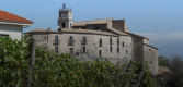 BORGO 1